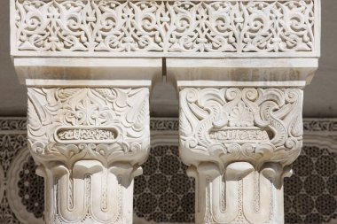 Paris Büyük Cami Sütunu. Mimarlık. Fransa. 