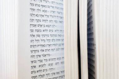 İbranice Tevrat. Edebiyat kitabı. Fransa. 