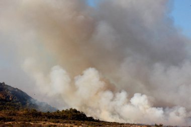 Madikwe oyun rezervi. Ateşle. Güney Afrika. 
