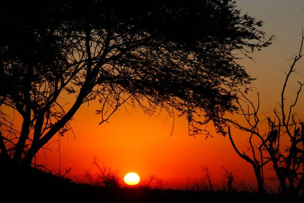 Закат Южной Африке Оранжевое Южная Африка — стоковое фото
