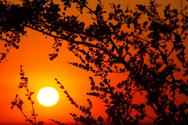 Закат Южной Африке Оранжевое Южная Африка — стоковое фото