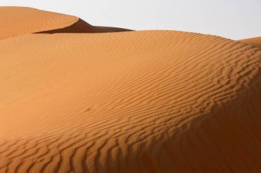 Kum tepeleri. Liwa Çölü. Abu Dabi. 