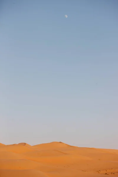 Sand Dunes Liwa Desert Abu Dhabi — Stock Photo, Image