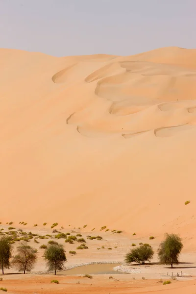 绿洲和沙丘 Liwa沙漠 阿布扎比 — 图库照片