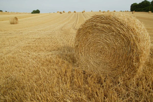 Szénaboglyák Mezőn Mezőgazdaság Franciaország — Stock Fotó