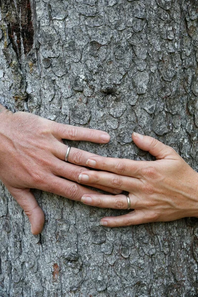 Cierre Manos Hombre Mujer Con Anillo Bodas Francia —  Fotos de Stock