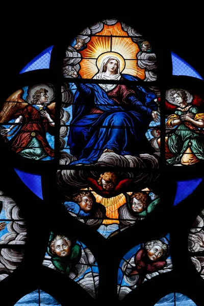 Stained Glass Window Assumption Blessed Virgin Mary Heaven France — 图库照片