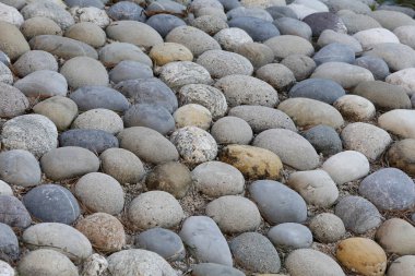 Japon bahçesi. Taşlar. Zen Budizmi. 