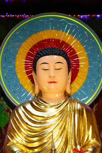 Linh Son Buddhalainen Temppeli Shakyamunin Buddhalaisuus Ranska — kuvapankkivalokuva