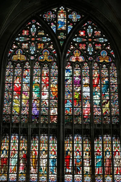 Saint Salvators Cathedral Stained Glass Window Belgium — стоковое фото