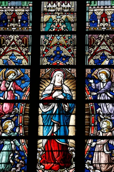 Saint Salvators Cathedral Stained Glass Window Holy Virgin Belgium – stockfoto