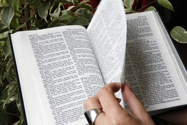Ler Bíblia Livro Ester França — Fotografia de Stock