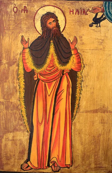 Icon Elijah Saint Catherine Monastery Israel — стокове фото