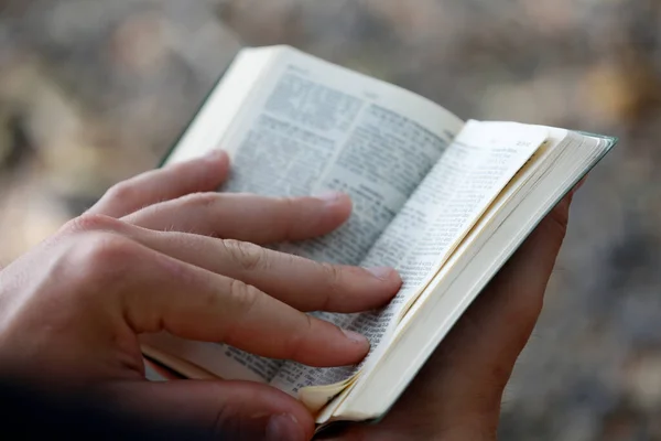 Pielgrzymka Ziemi Świętej Czytanie Biblii Izrael — Zdjęcie stockowe