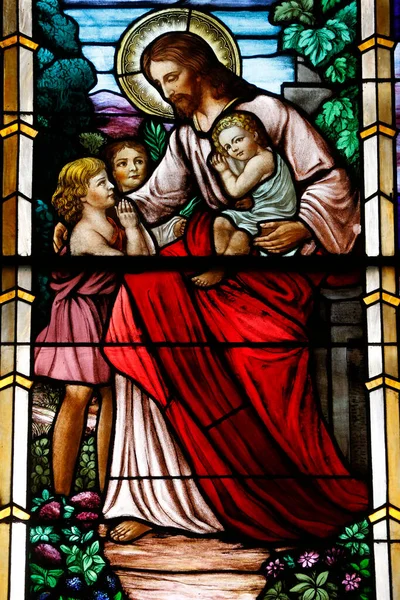Patrick Old Cathedral Suffer Little Children Jesus Said United States — Stockfoto