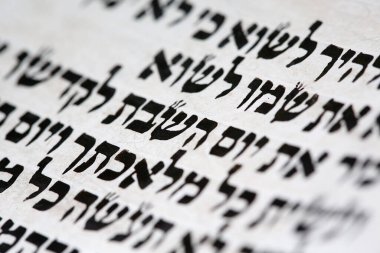 Yahudi torah parşömeni. İbranice 