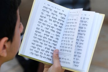 Yahudi Batı Duvarı 'nda Torah okuyor. İsrail. 
