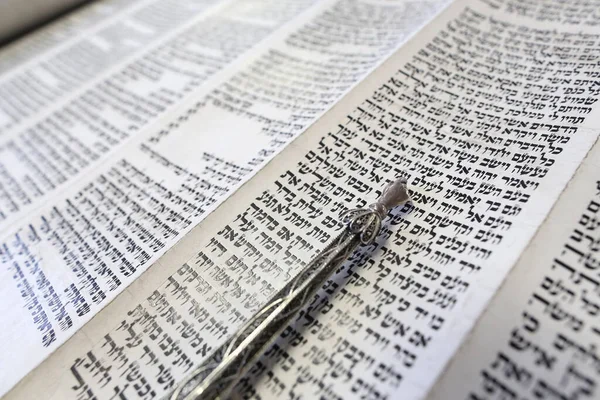 Jewish Torah Scroll Pointer France — стокове фото