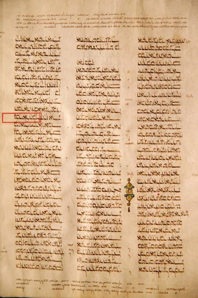 Izraelské Muzeum Kniha Danielova Damašek Kodex Burgis Španělsko 1260 — Stock fotografie