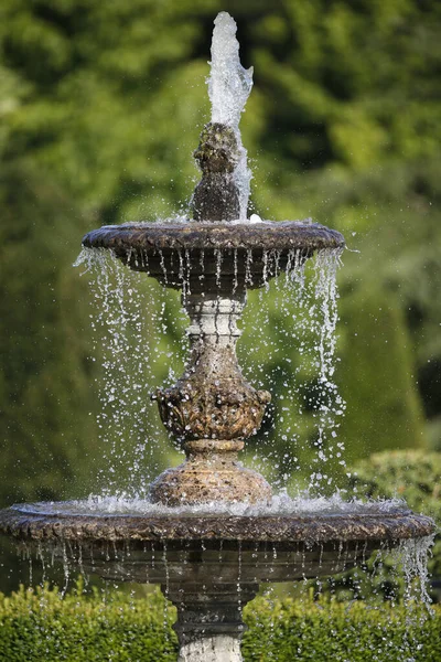 Fountain Garden Nature France — стокове фото