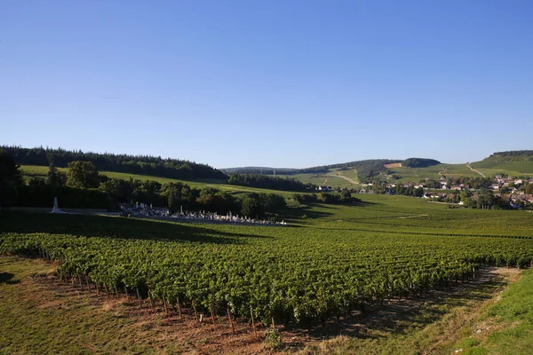 Mercurey Heeft 650 Wijngaarden Belangrijkste Wijnbouwgemeenschap Bourgondië Frankrijk — Stockfoto