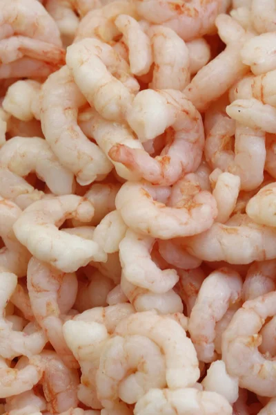 Pink Shrimps Sale Market France — стокове фото