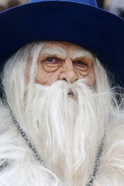 Ortaçağ Provins Festivali Kostüm Geçidi Büyücü Merlin — Stok fotoğraf