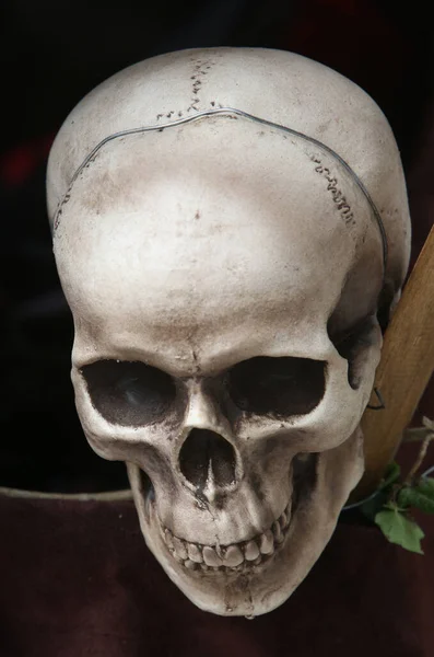 Skull Symbol Death France — Stock Photo, Image