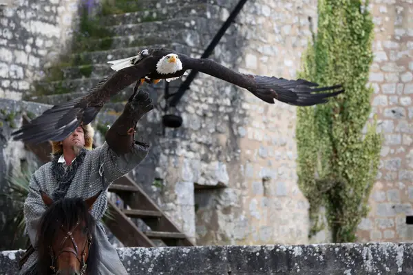 Şövalyelerin efsanesi. Ortaçağ Provins Festivali.