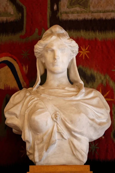 Buste Marianne Figure Allgorique Republique Franaise France — Stock Fotó