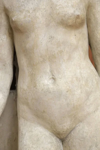 Museo Petit Palais Donna Nuda Francia — Foto Stock