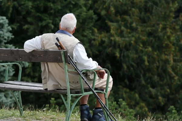 Man Bench Vienna Austria — Stockfoto