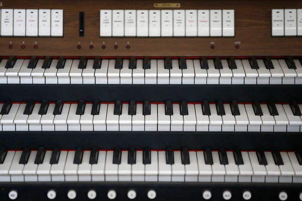 Albert Schwietzer Hospital Museum Albert Schweitzer Organ Lambarene Gabon — Stockfoto