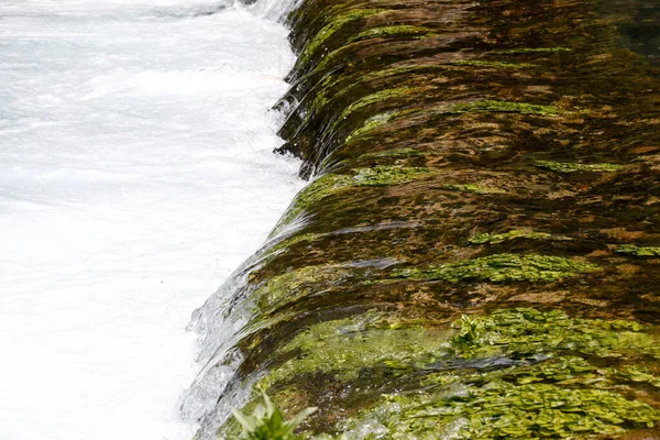 Baniyas River. Clear water.  israel. 