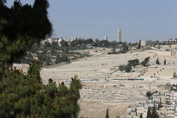 Jewish Cemetery Mount Olives Israel — Fotografia de Stock