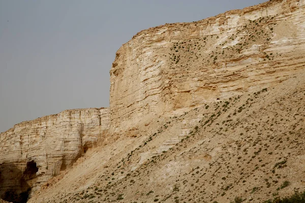 Ein Avdat Canyon Negev Desert Israel — Foto de Stock
