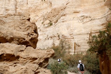 Ein Avdat Canyon, Negev Desert.  israel. 