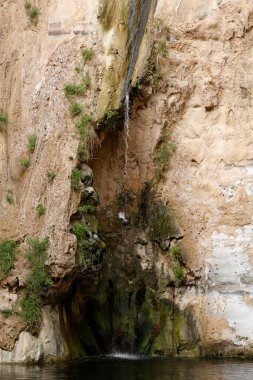 Ein Avdat Canyon, Negev Desert.  israel. 