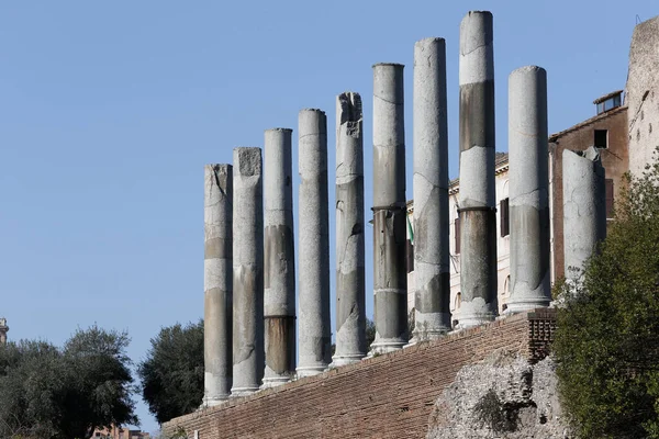 Columns Sacra Roman Forum Roman Architecture Roma Italy — Fotografia de Stock