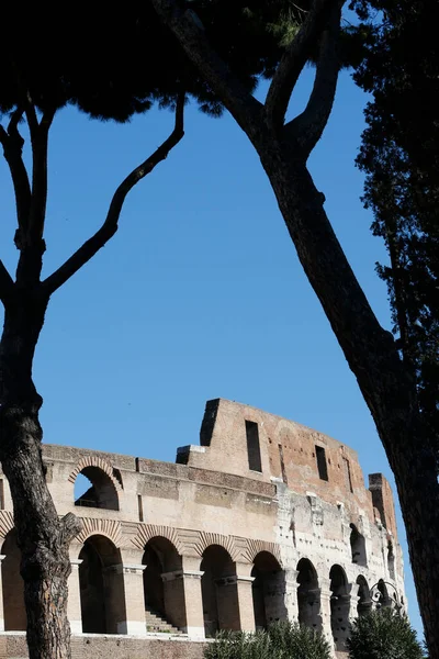 Colosseum Roman Architecture Roma Italy — стоковое фото