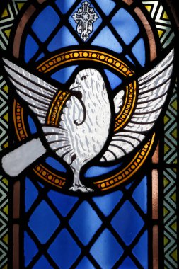 Lekeli cam pencere. Barış güvercini. Fransa. 