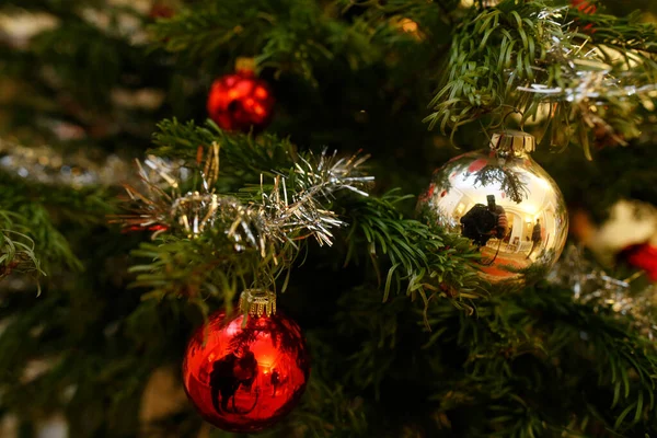 Χριστουγεννιάτικο Δέντρο Ένα Βαπτιστικό Σπίτι Γενεύη Ελβετία — Φωτογραφία Αρχείου