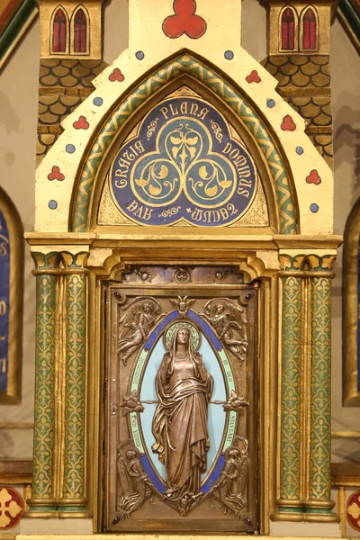 Genfi Notre Dame Bazilika Templom Ajtaja Szűz Mária Genf Svájc — Stock Fotó