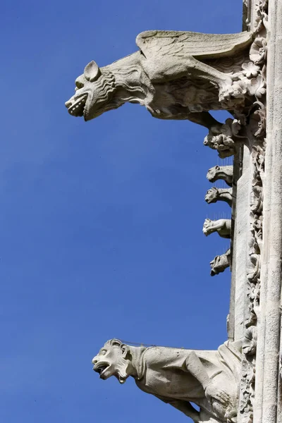 Notre Dame Amiens Kathedraal Schildpadden Frankrijk — Stockfoto