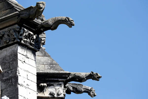 Notre Dame Amiens Kathedraal Schildpadden Frankrijk — Stockfoto