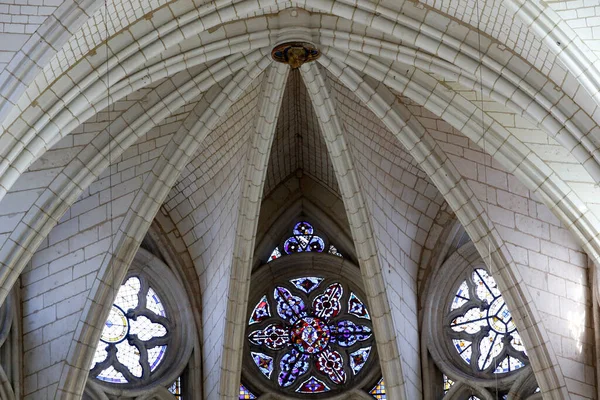 Notre Dame Amiens Katedrali Maymunun Lekeli Camları Fransa — Stok fotoğraf