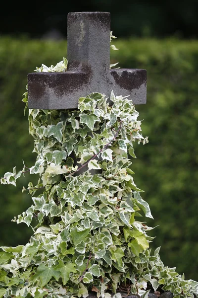 Крест Кладбище Каменный Крест Франция — стоковое фото