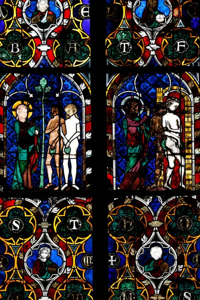 Strasbourgi Szűzanya Katedrális Foltos Üvegablak Teremtés Ádám Éva Franciaország — Stock Fotó