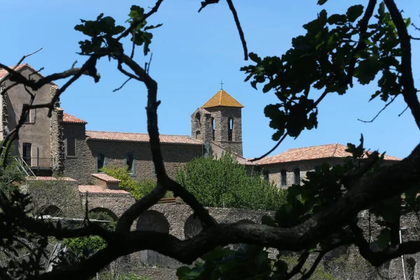 Mosteiro Verne Antigo Mosteiro Cartuxo Século Xii Xviii França — Fotografia de Stock