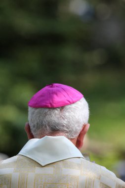 Mgr Yves Boivineau ve mor bir kabak. La Roche-sur-Foron. Fransa.